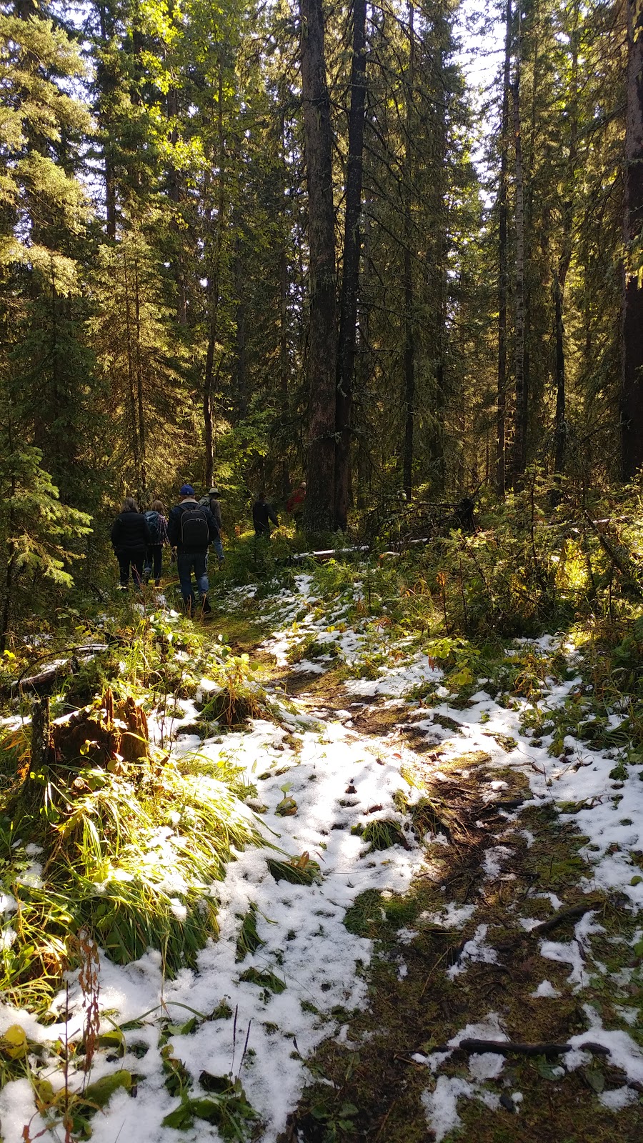 Brown - Lowery Provincial Park | Millarville, AB T0L 1K0, Canada | Phone: (403) 297-5293