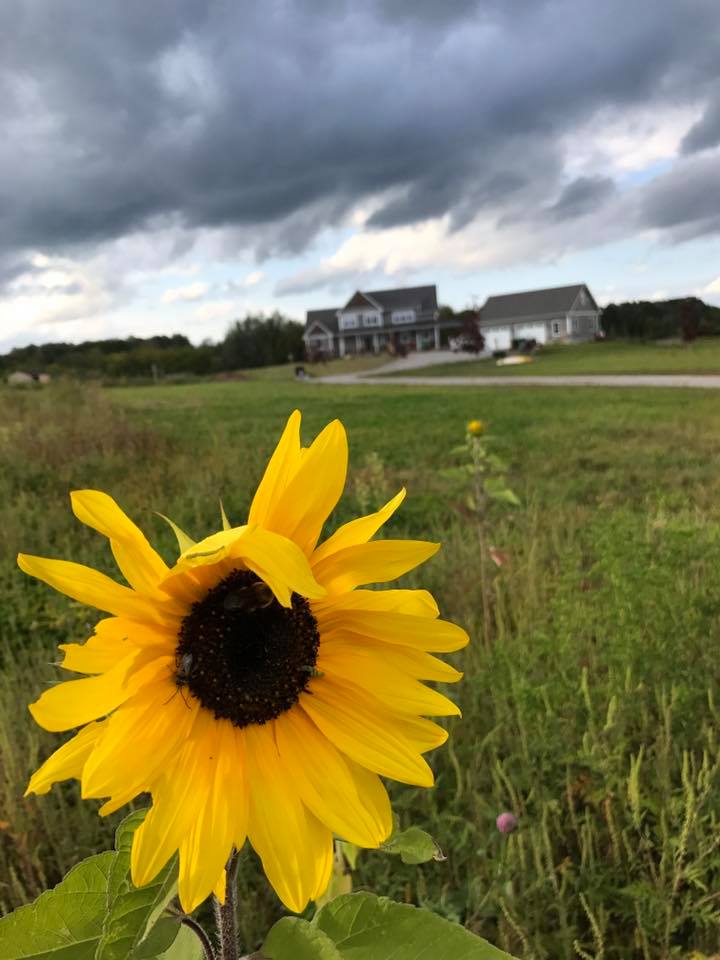 Stones Throw Farm | 3235 Demara Rd, Port Perry, ON L9L 1B4, Canada | Phone: (905) 410-2930
