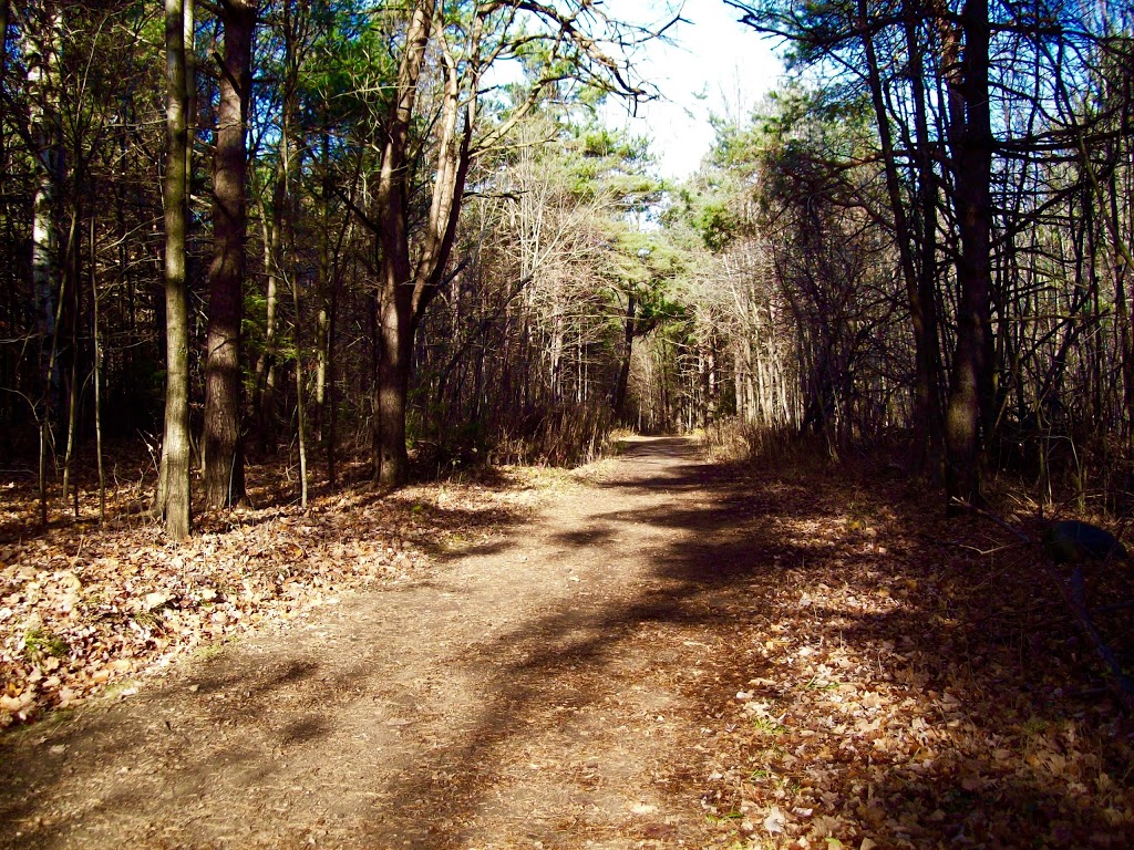 Trail 30 | Chemin Kingsmere, Chelsea, QC J9B 1G8, Canada