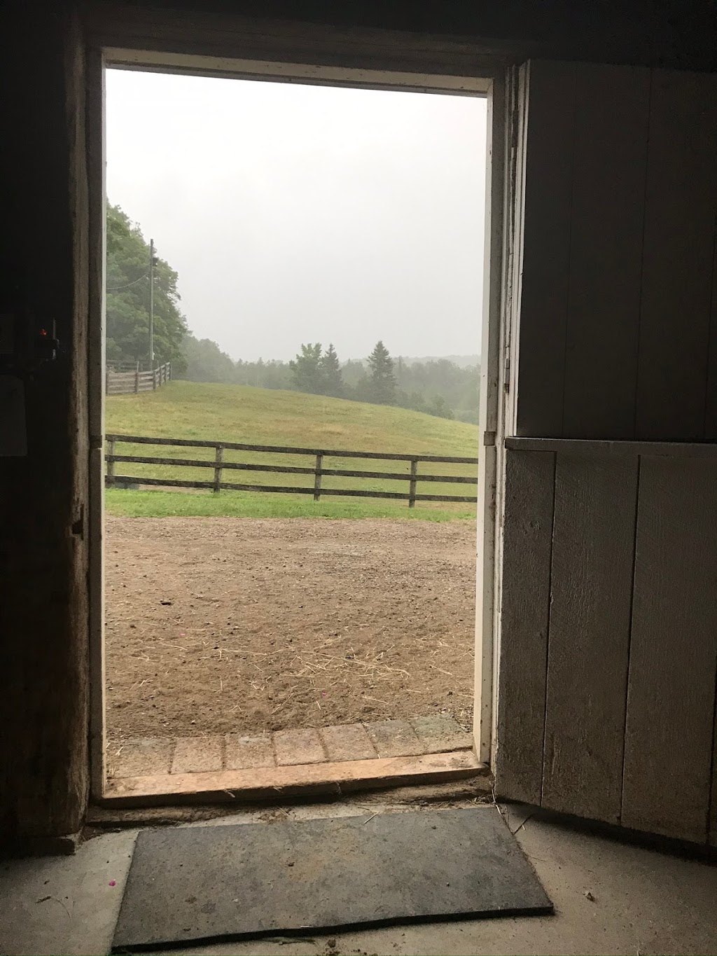 Weybread Hill Farm | 111150 11th Line East, Erin, ON L8W 7A4, Canada | Phone: (519) 830-7220