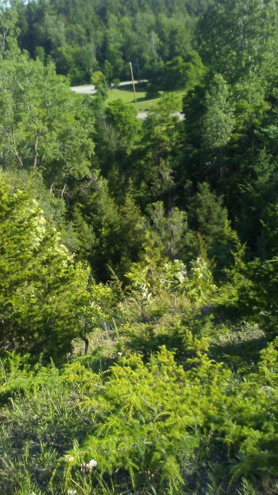 Lyn Valley Conservation Area | 90 Lyn Valley Rd, Lyn, ON K0E 1M0, Canada | Phone: (613) 546-4228