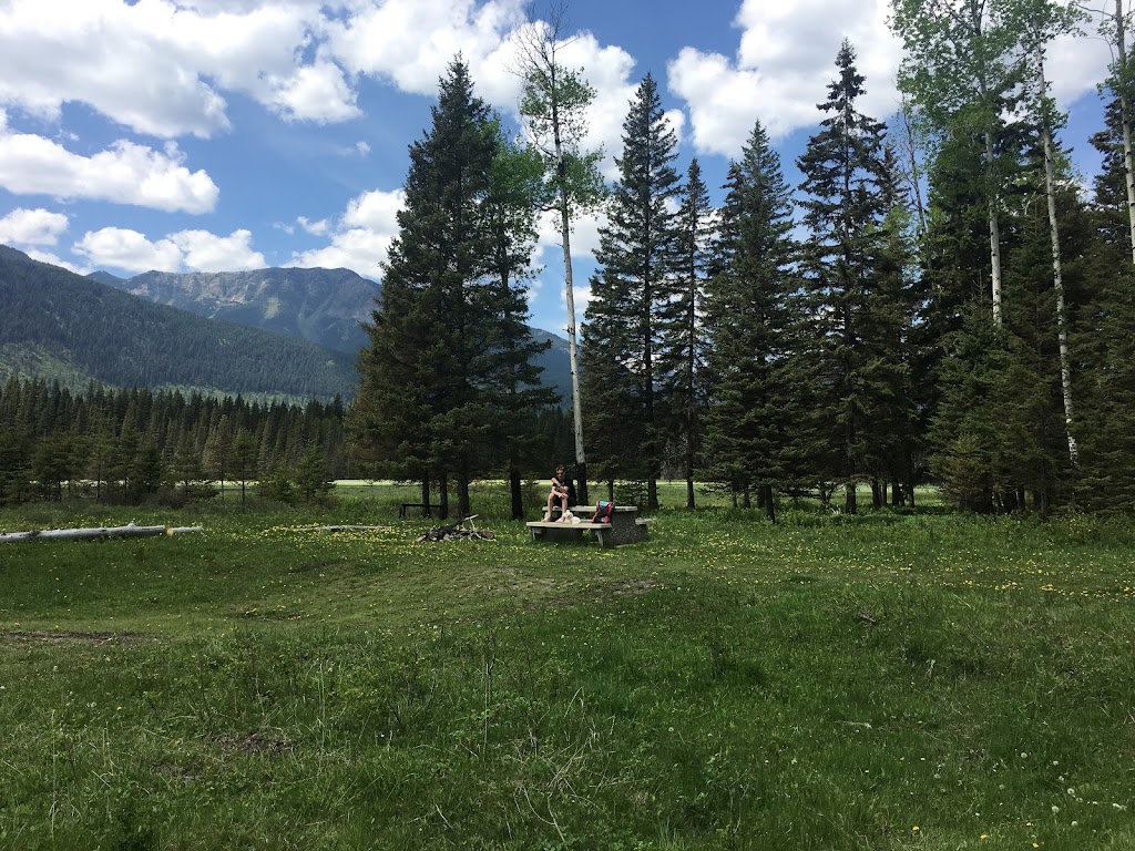 Sulphur Springs | East Kootenay A, BC V0B 1H0, Canada | Phone: (250) 865-4015