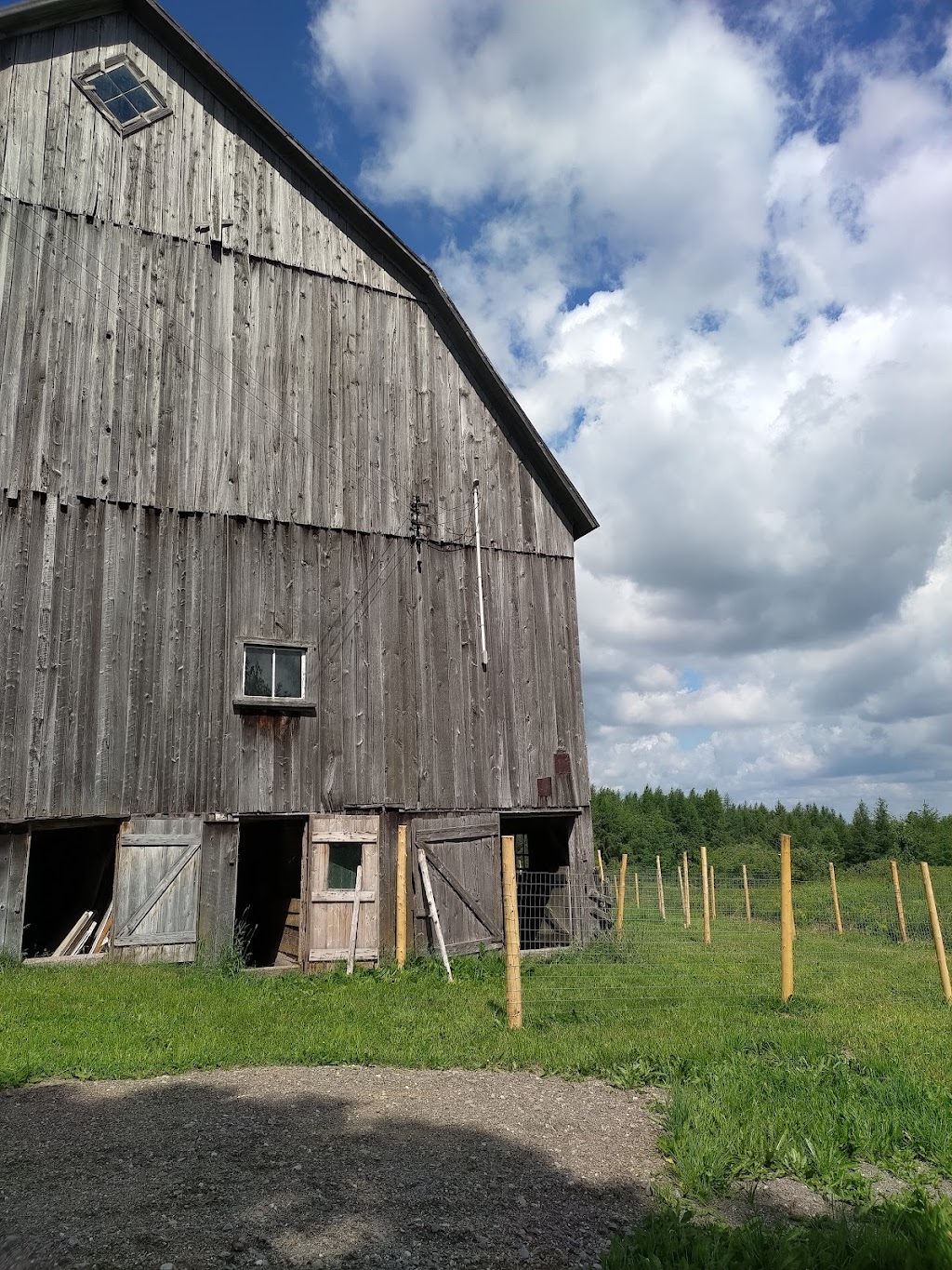 Alpagas la Toison dOr | 429 QC-243, Racine, QC J0E 1Y0, Canada | Phone: (450) 525-3530