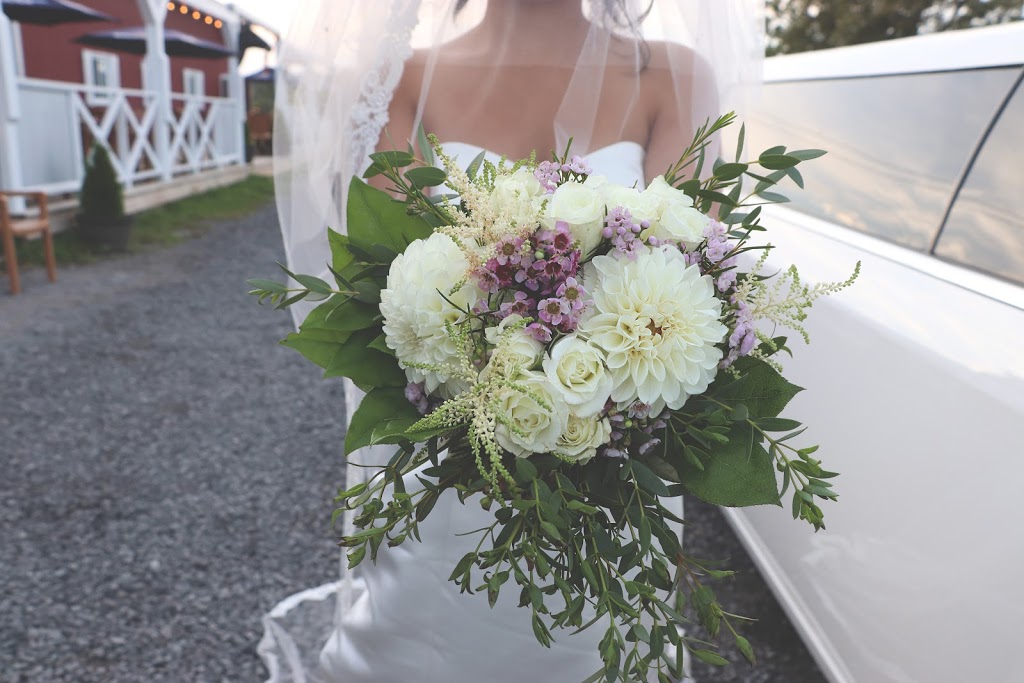 Creations Behind The Lens Photography | 26 Aintree Pl, Kanata, ON K2M 2G5, Canada | Phone: (613) 413-3779