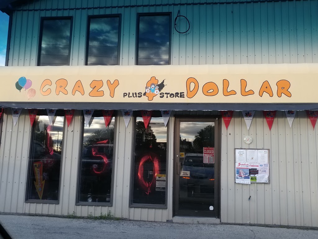 Crazy Dollar Plus Store | 625 Garafraxa St S, Durham, ON N0G 1R0, Canada | Phone: (519) 369-3113