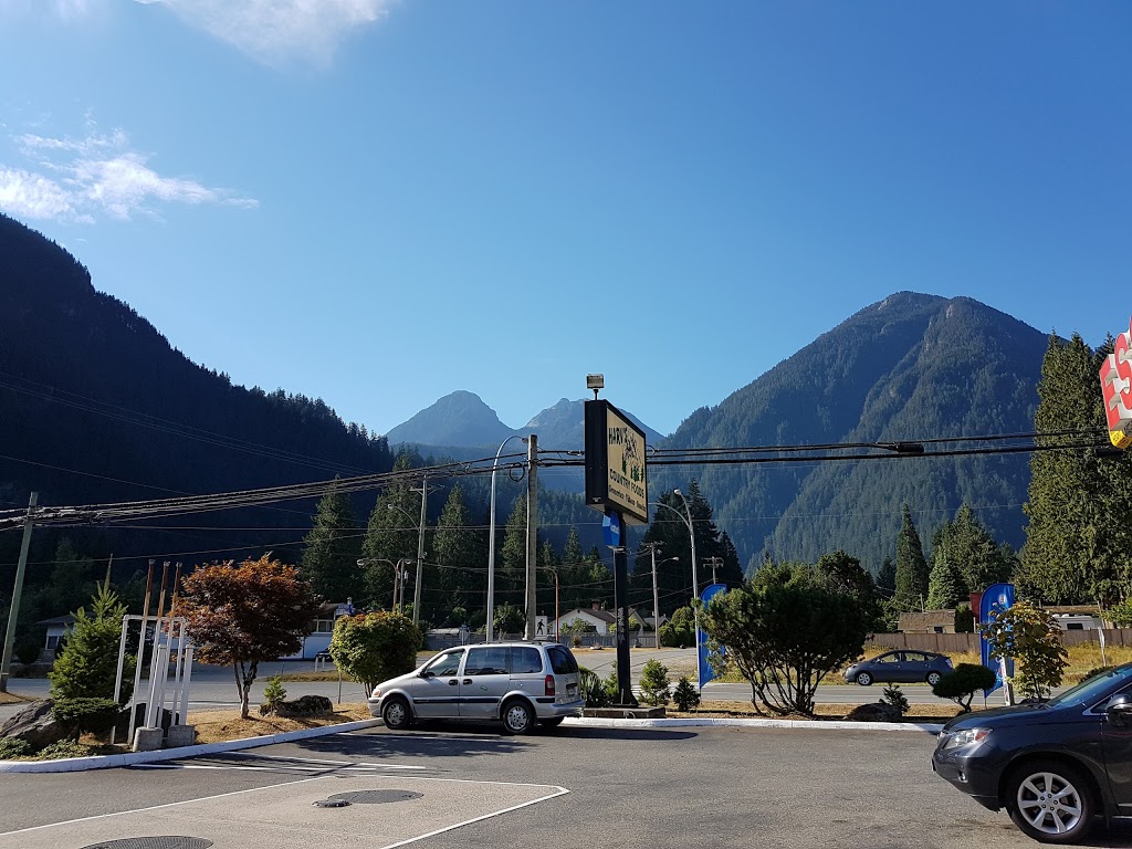 Esso | 19959 Silverview Rd, Hope, BC V0X 1L0, Canada | Phone: (604) 869-9999