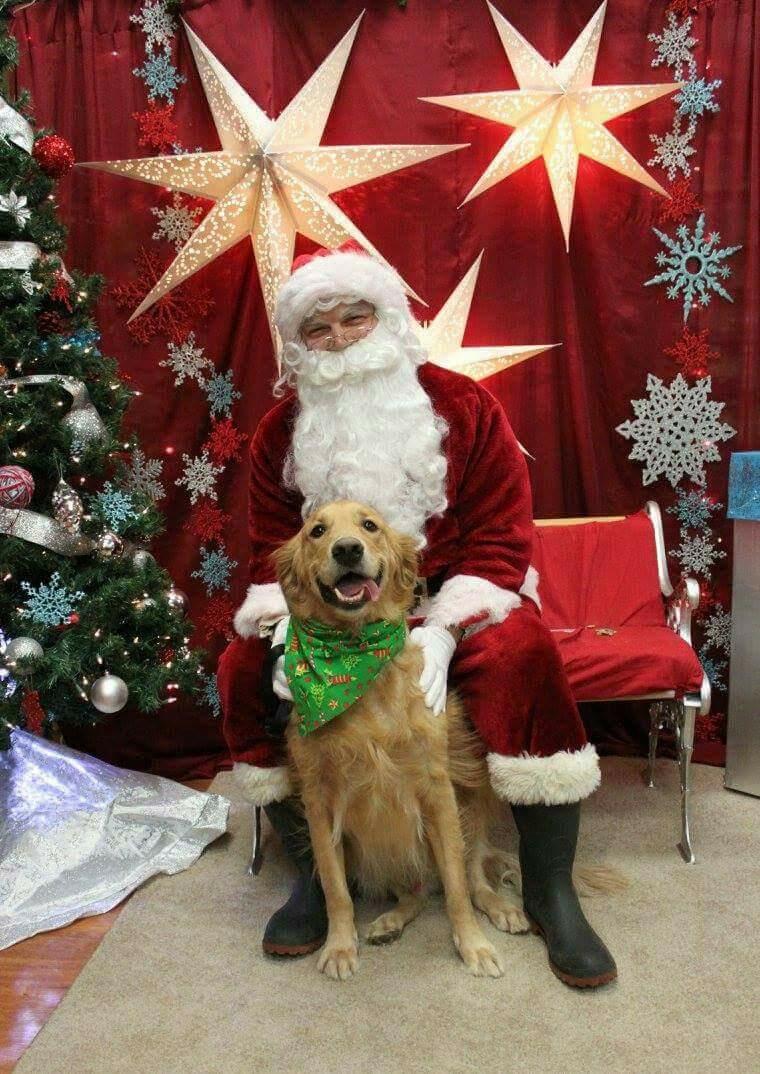 Pet Valu | 235 Guelph St, Georgetown, ON L7G 4A8, Canada | Phone: (905) 873-7407