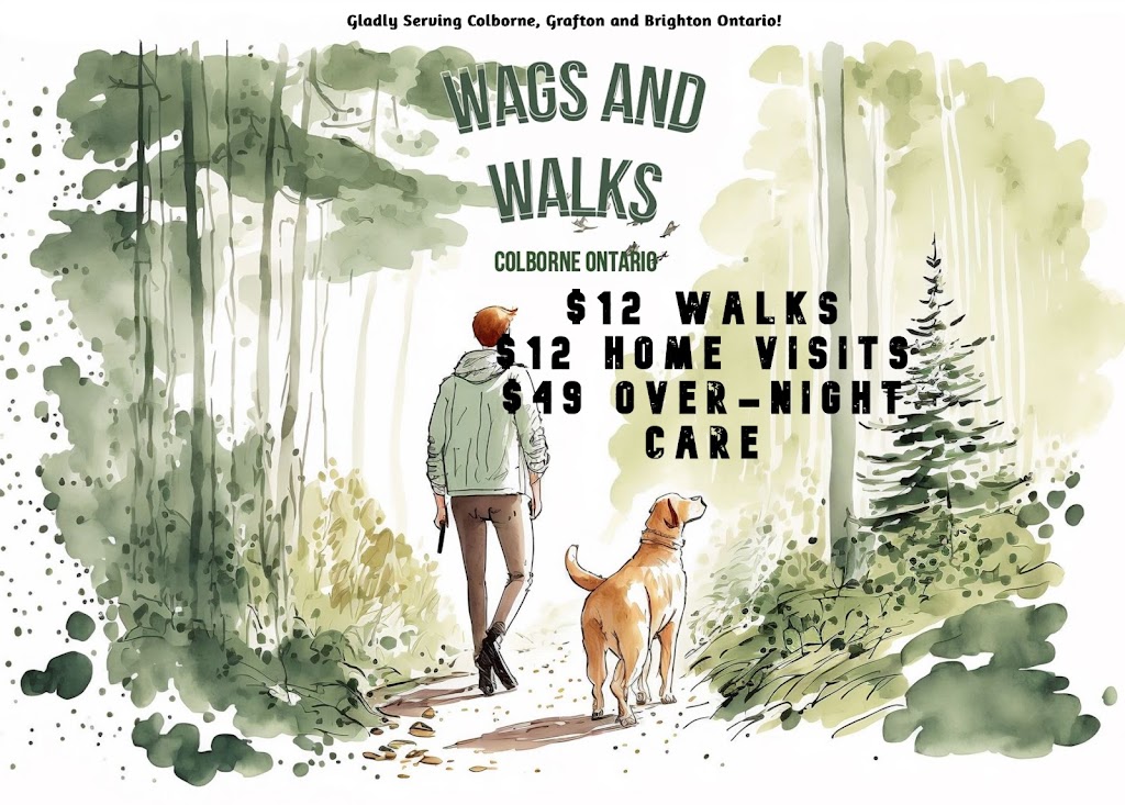 Wags and Walks Colborne | 7 Alfred St, Colborne, ON K0K 1S0, Canada | Phone: (289) 691-3652
