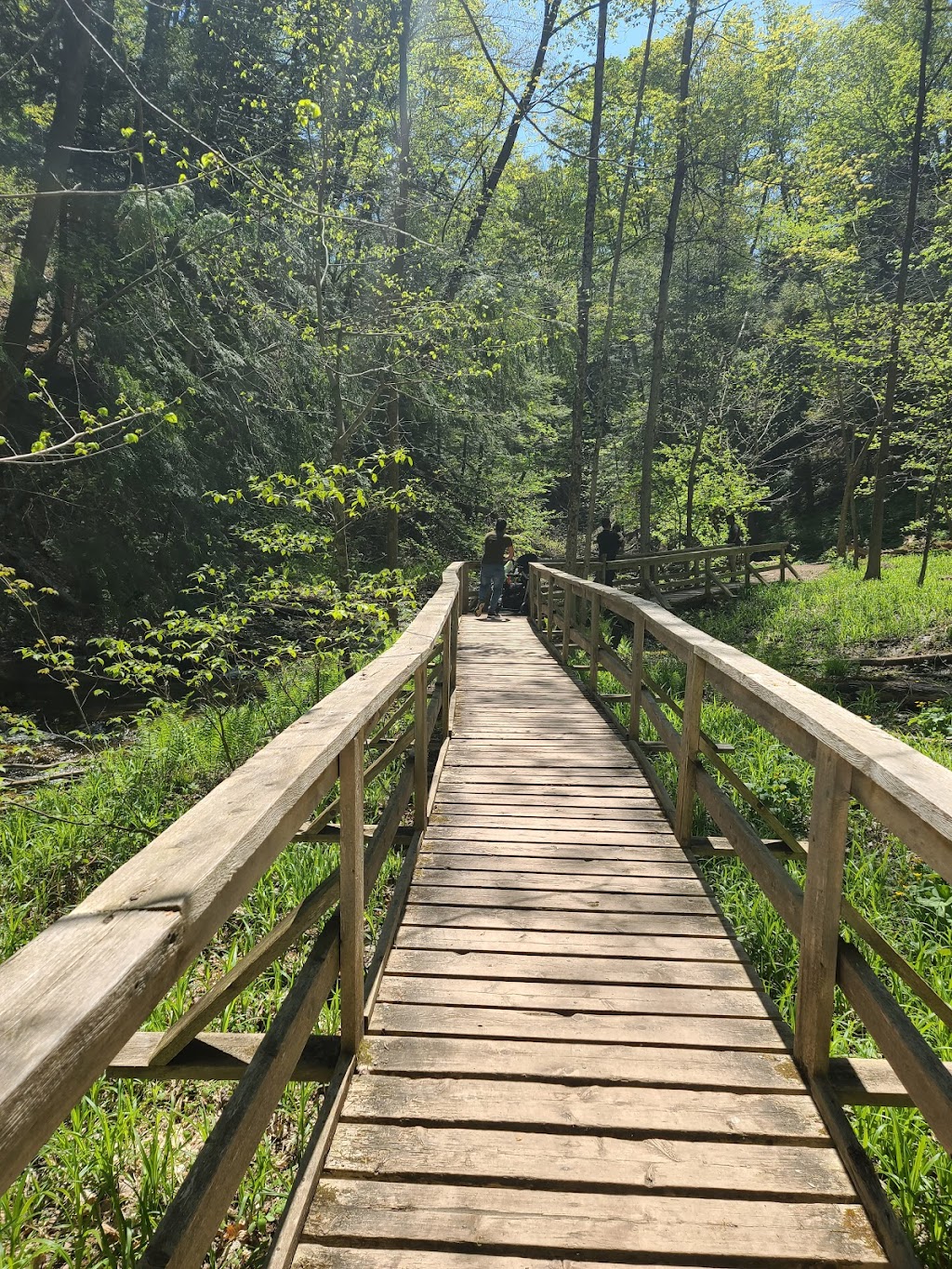 Harrison Park | 75 2nd Ave E, Owen Sound, ON N0H, Canada | Phone: (519) 376-1440