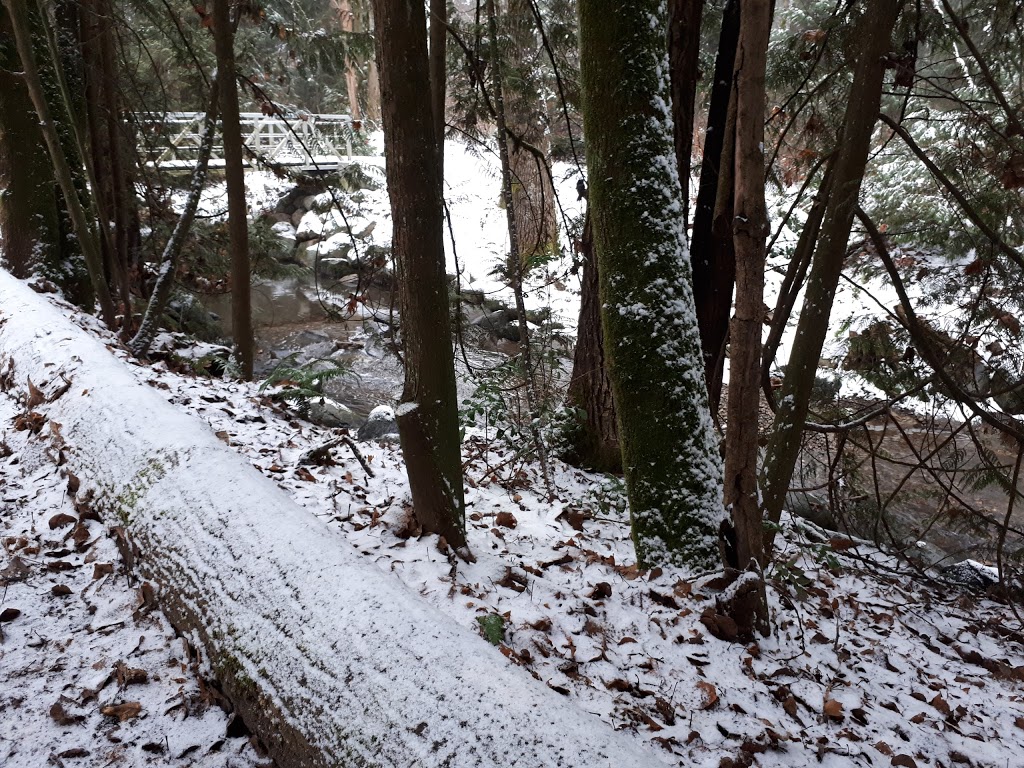 Hyde Creek Watershed Society | 3636 Coast Meridian Rd, Port Coquitlam, BC V3B 0E4, Canada | Phone: (604) 461-3474