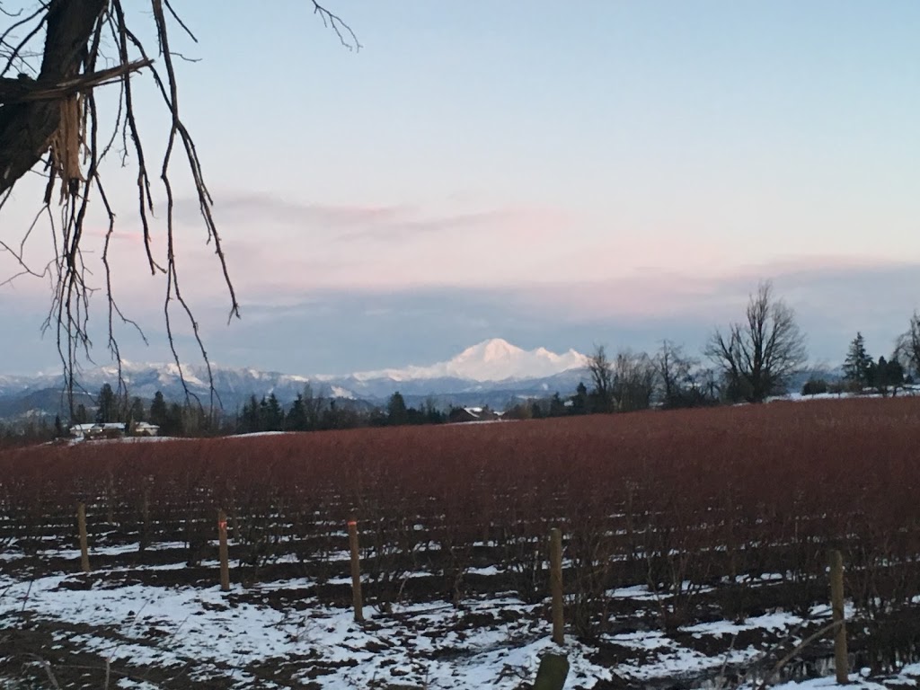 Mt. Lehman Community Association | 6418 Mount Lehman Rd, Abbotsford, BC V4X 2G5, Canada | Phone: (604) 866-4530