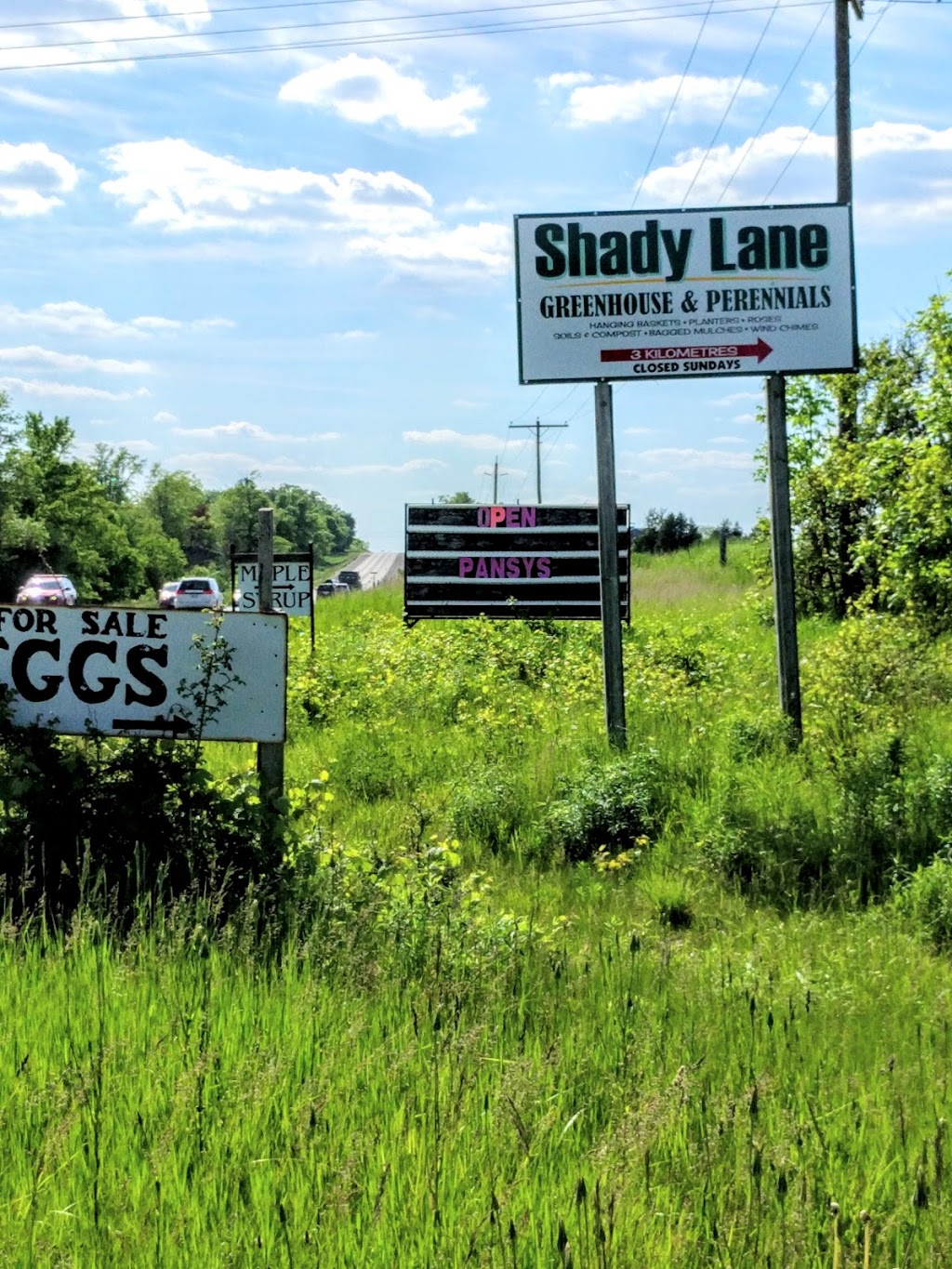 Shady Lanes Greenhouse & Perenials | point of interest | 6158 Weisenberg Rd, West Montrose, ON N0B 2V0, Canada | 5198462972 OR +1 519-846-2972