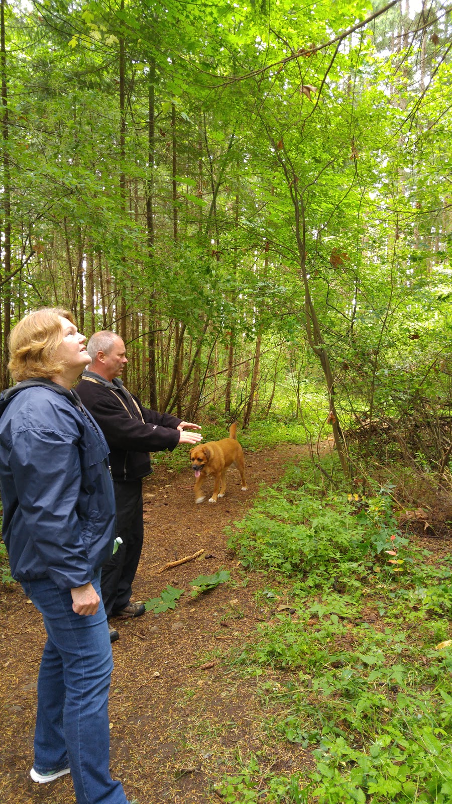 Condor Park | 435 Condor St, Comox, BC V9M 1J7, Canada | Phone: (250) 339-2202