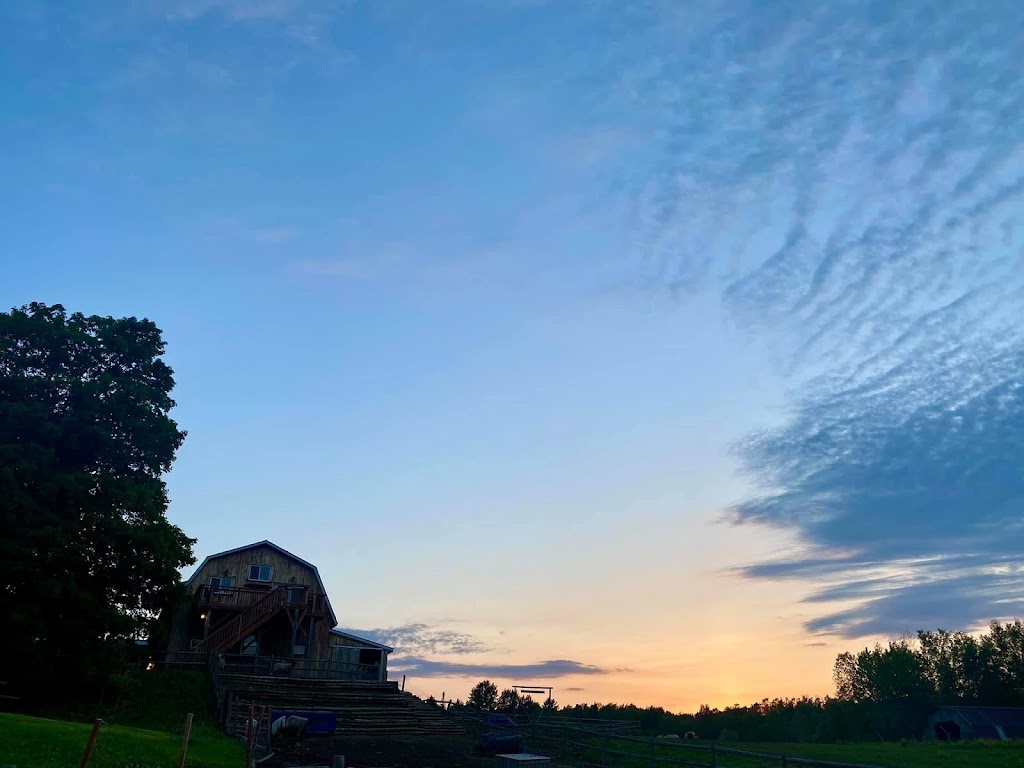 Ther-Hart Ranch | 2050 Chem. Lagueux, Stanstead, QC J0B 3E1, Canada | Phone: (819) 238-4701