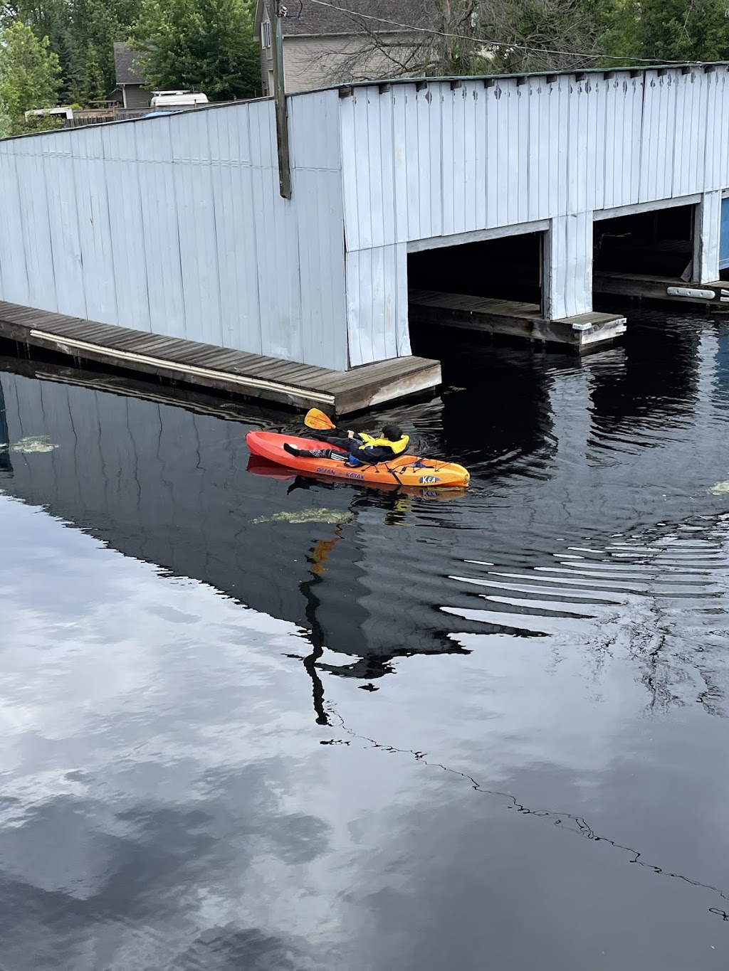 Lotus Marine | 1354 Metro Rd N, Willow Beach, ON L0E 1S0, Canada | Phone: (905) 476-3553