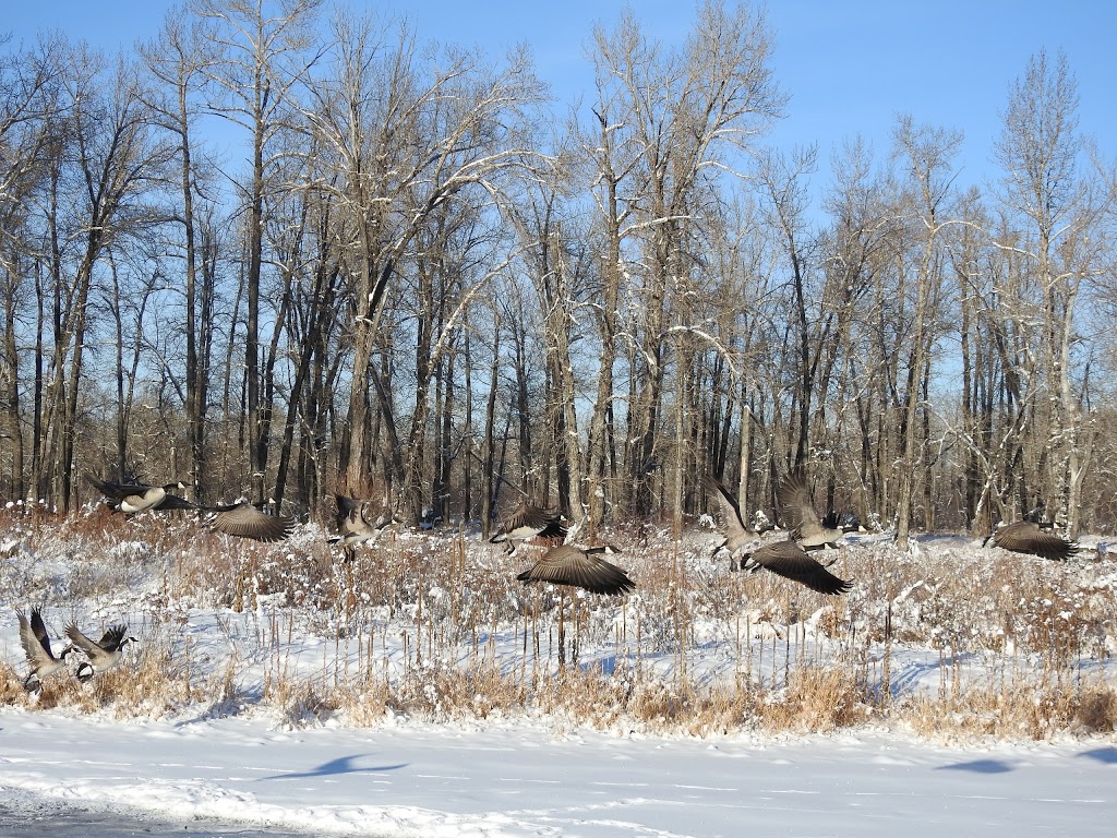 Sue Higgins Park | Southland Drive SE &, Deerfoot Trail, Calgary, AB T2J 1S1, Canada | Phone: (403) 268-2489
