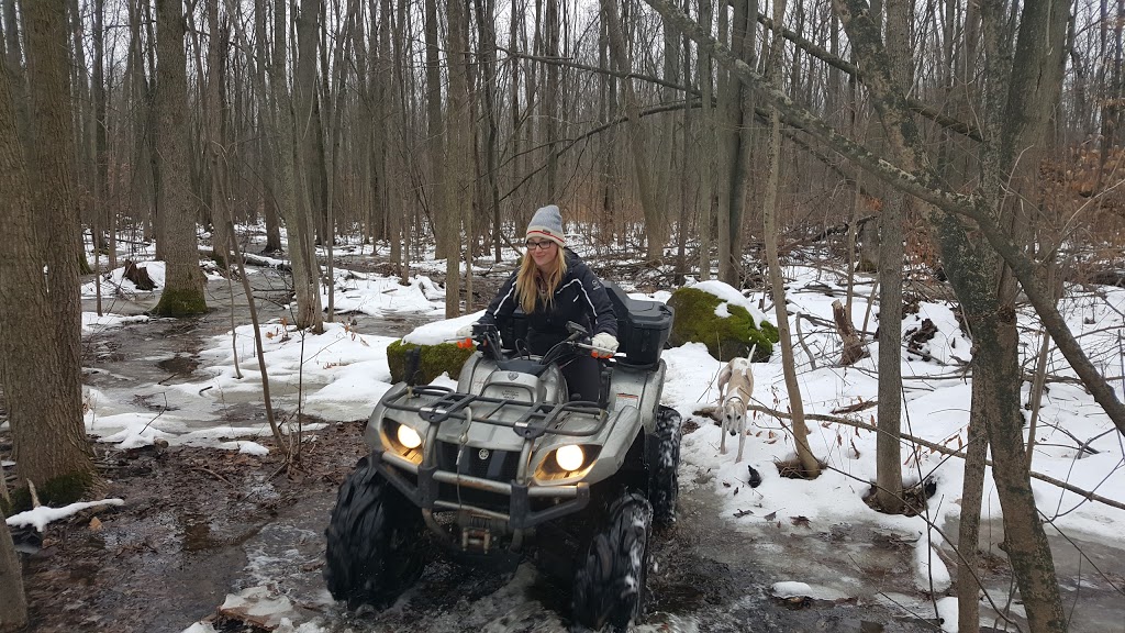 T&A Backwoods | Milburough Town Line, Carlisle, ON L0R 1H0, Canada