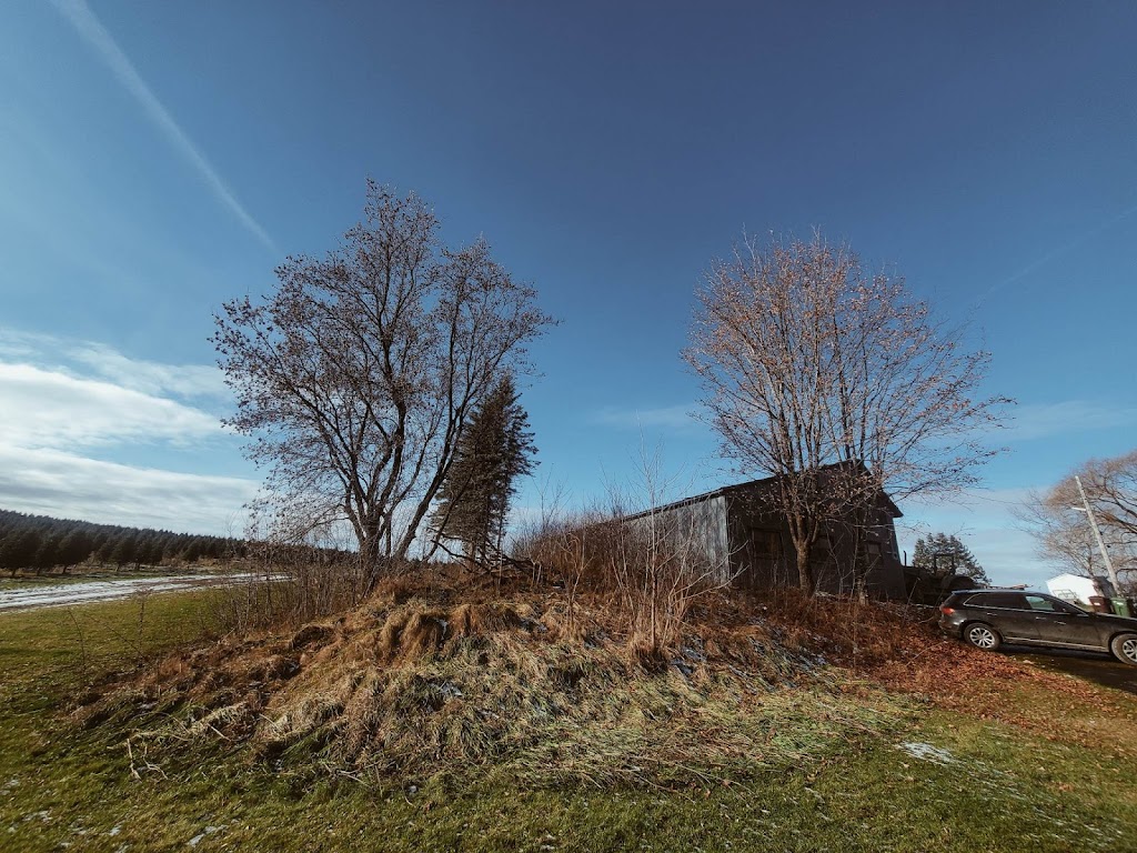 Le Réseau Souterrain - Champignonnière | 2845 Chem. Glenday, Sherbrooke, QC J1M 0C2, Canada | Phone: (873) 552-2005
