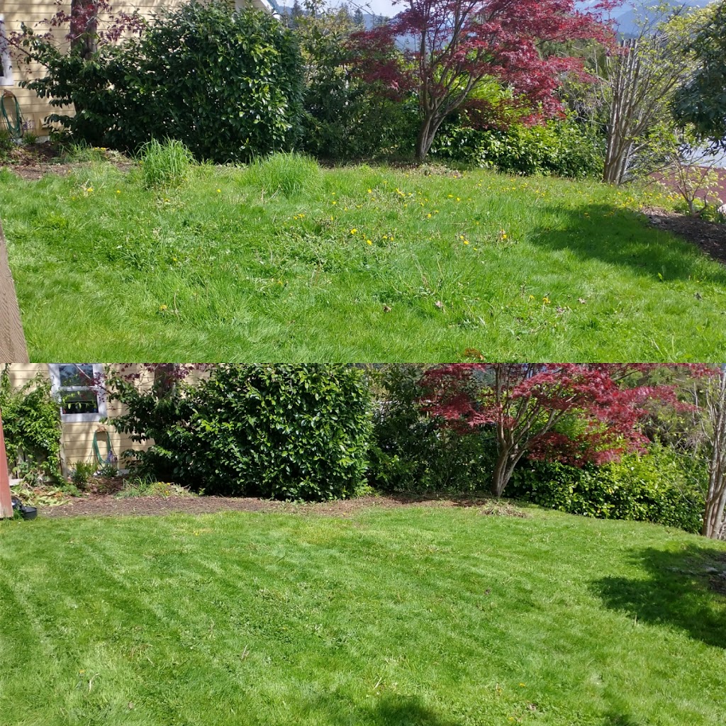 Sunshine Coast Lawn Care | 116 Sunshine Coast Hwy #1413, Gibsons, BC V0N 1V5, Canada | Phone: (250) 886-2769