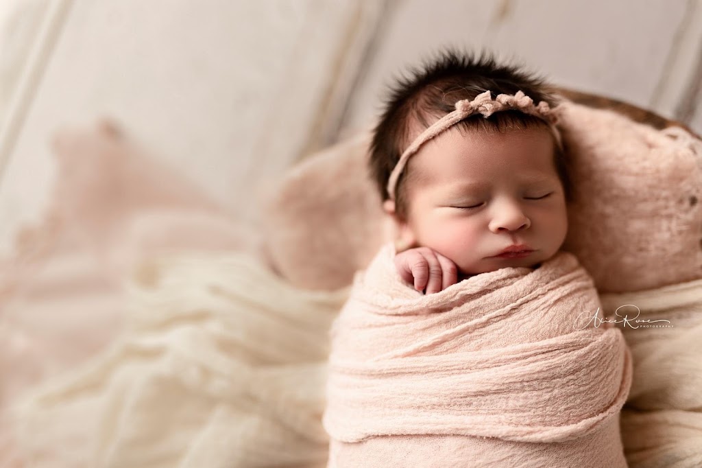 Alice Rose Photography | Box 211, 144 Hawk Eye Rd, Bragg Creek, AB T0L 0K0, Canada | Phone: (403) 808-4661