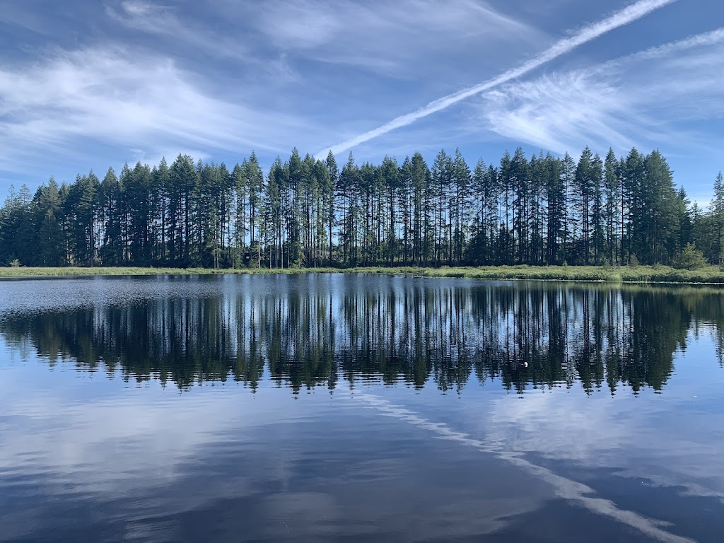 Smith Lake Farm | 1481 Larkin Rd, Black Creek, BC V9J 1G2, Canada | Phone: (250) 218-3459