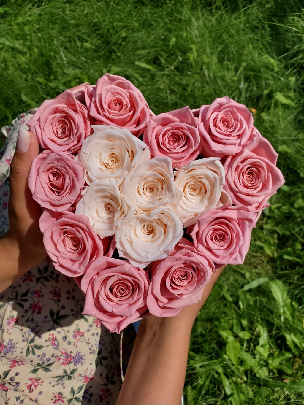 Fantasy Roses | 9 Boulder Crescent, Guelph, ON N1G 5A3, Canada | Phone: (519) 820-6217