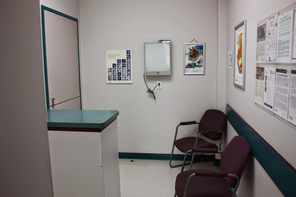 Calgary Cat Clinic | 2116 Crowchild Trail NW, Calgary, AB T2M 3Y7, Canada | Phone: (403) 289-9999