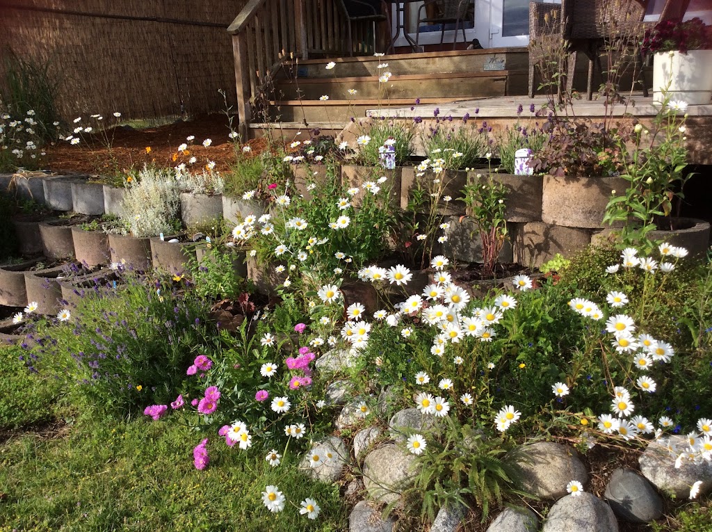 Bellas Beach Front B&B | 1782 Astra Rd, Comox, BC V9M 4B6, Canada | Phone: (250) 339-6257