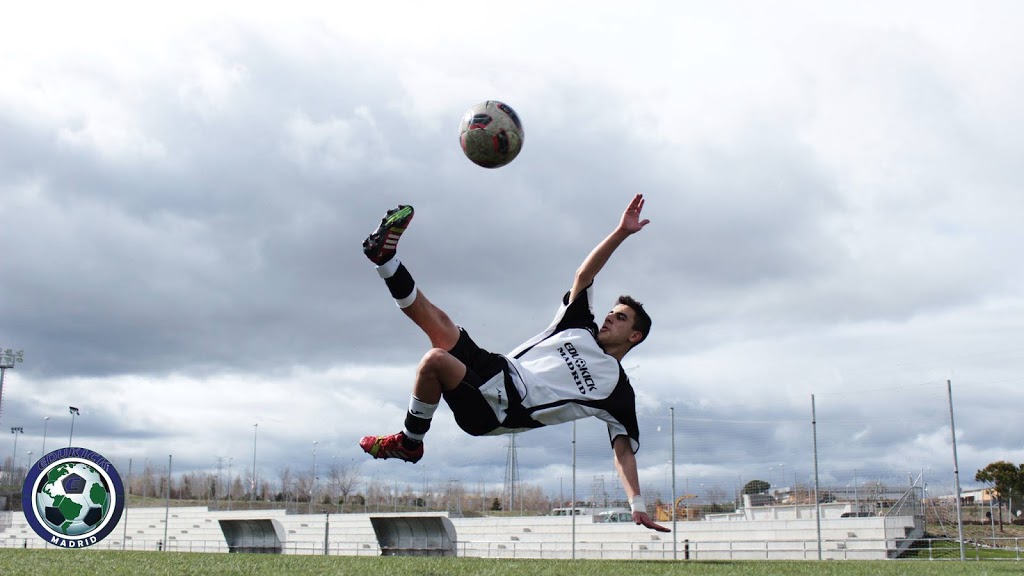 EduKick International Soccer Academies | 1184 Bellview St, Burlington, ON L7S 1C7, Canada | Phone: (905) 631-9541