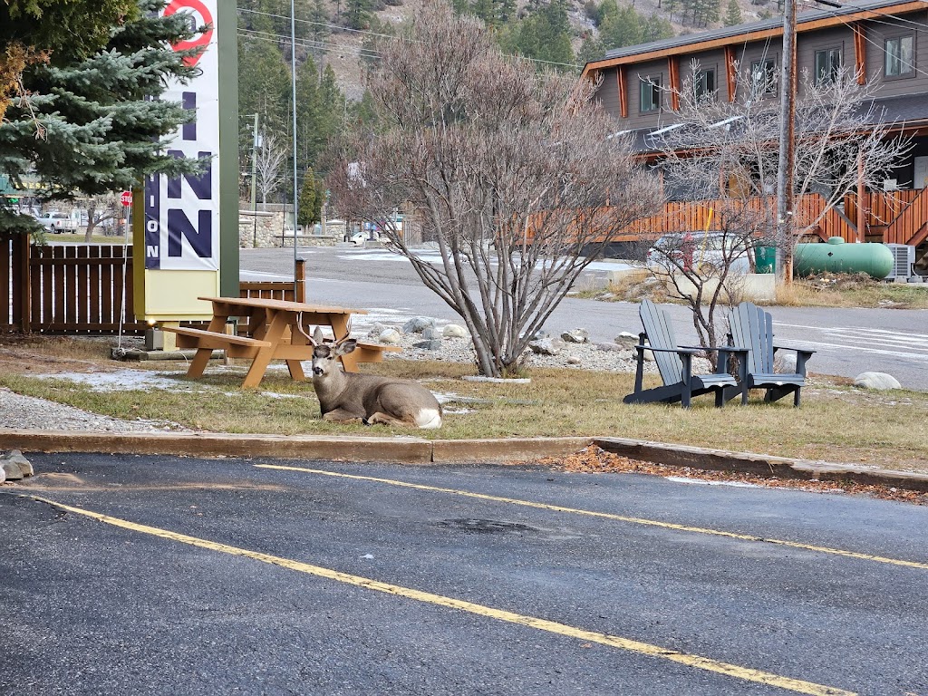 R F E Alarms | #8-1340 Industrial Rd #3, Invermere, BC V0A 1K0, Canada | Phone: (250) 342-6549