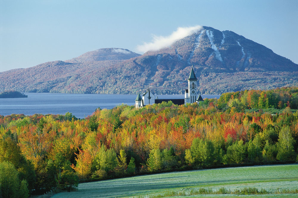 Mycélium Estrie | 4 Rue de la Pintade, Magog, QC J1X 0M6, Canada | Phone: (819) 238-9617