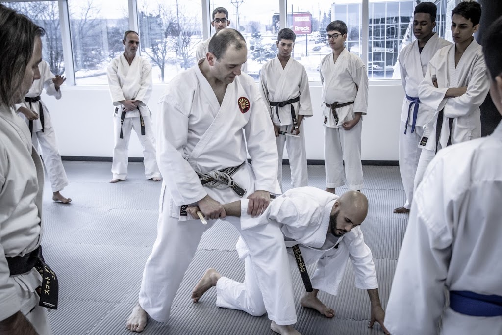 Nam Karate Do | 683 Innovation Dr Unit 4, Kingston, ON K7K 7K5, Canada | Phone: (613) 328-6742