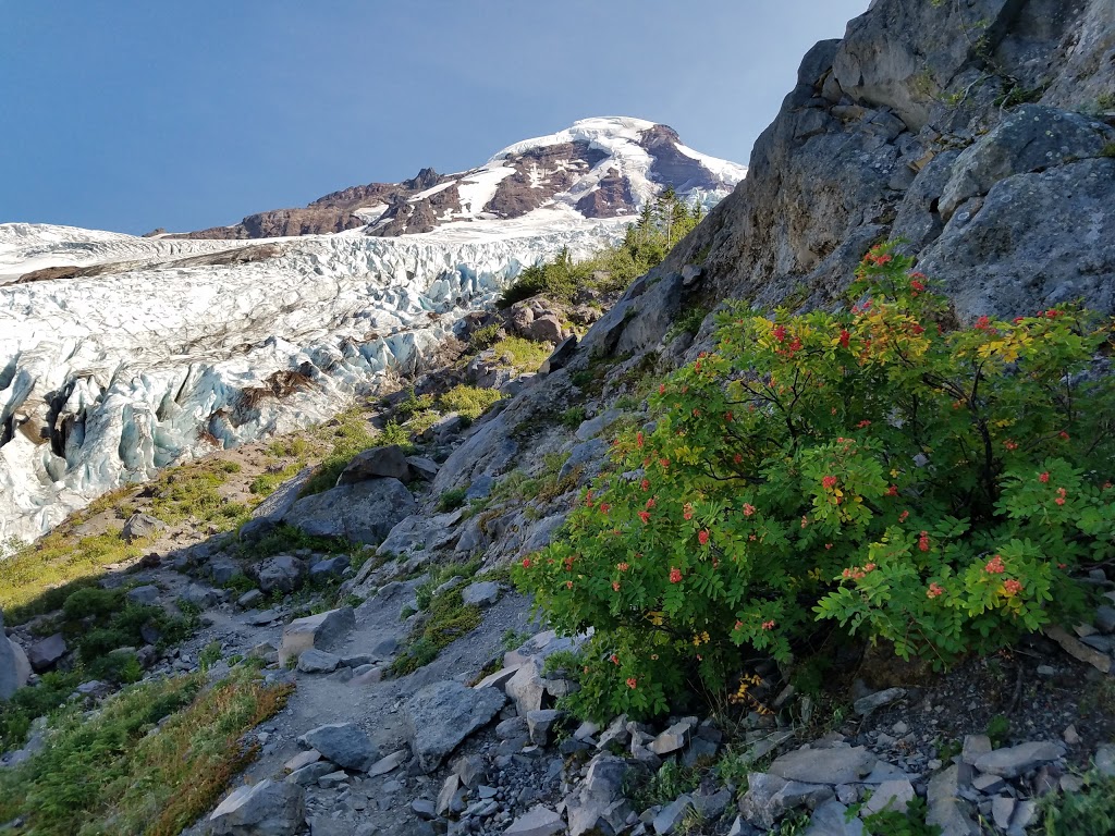 Coleman Glacier Lunch Bluff | Deming, WA 98244, USA