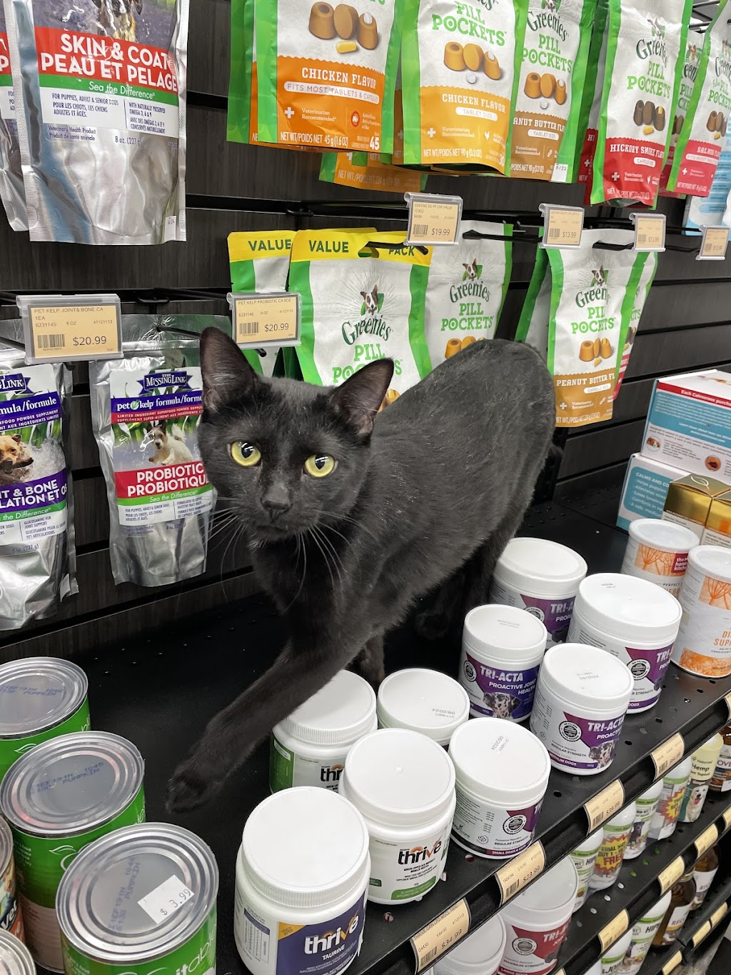 Pet Valu | 900 Shantz Drive, Didsbury, AB T0M 0W0, Canada | Phone: (403) 559-3031