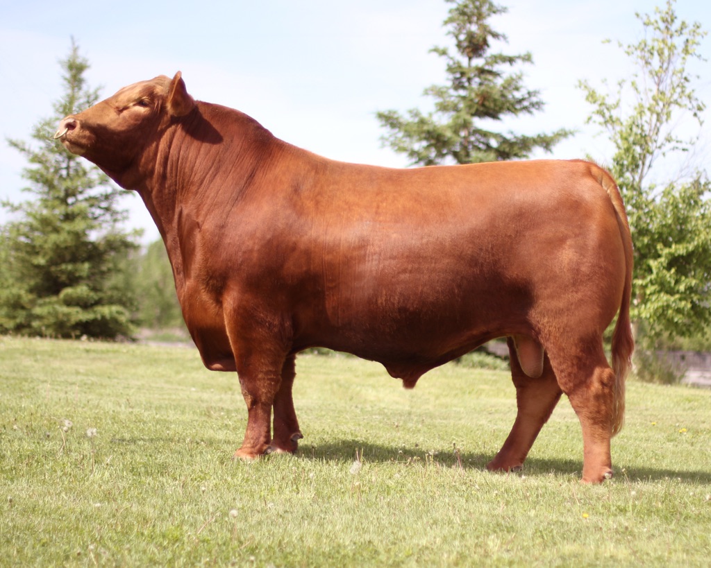 Northline Farms | 53537 Range Rd 212, Ardrossan, AB T8G 2B5, Canada | Phone: (780) 729-3552