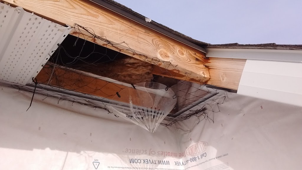 Certified Pest Control | 4- 10 devon close, St. Albert, AB T8N 6B6, Canada | Phone: (780) 231-3872