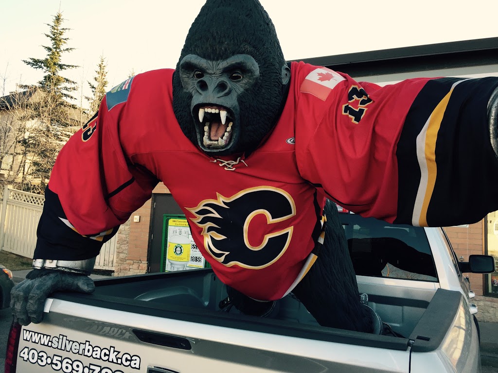 SILVERBACK | 1514 Meridian Rd NE, Calgary, AB T2A 2N9, Canada | Phone: (403) 569-7222