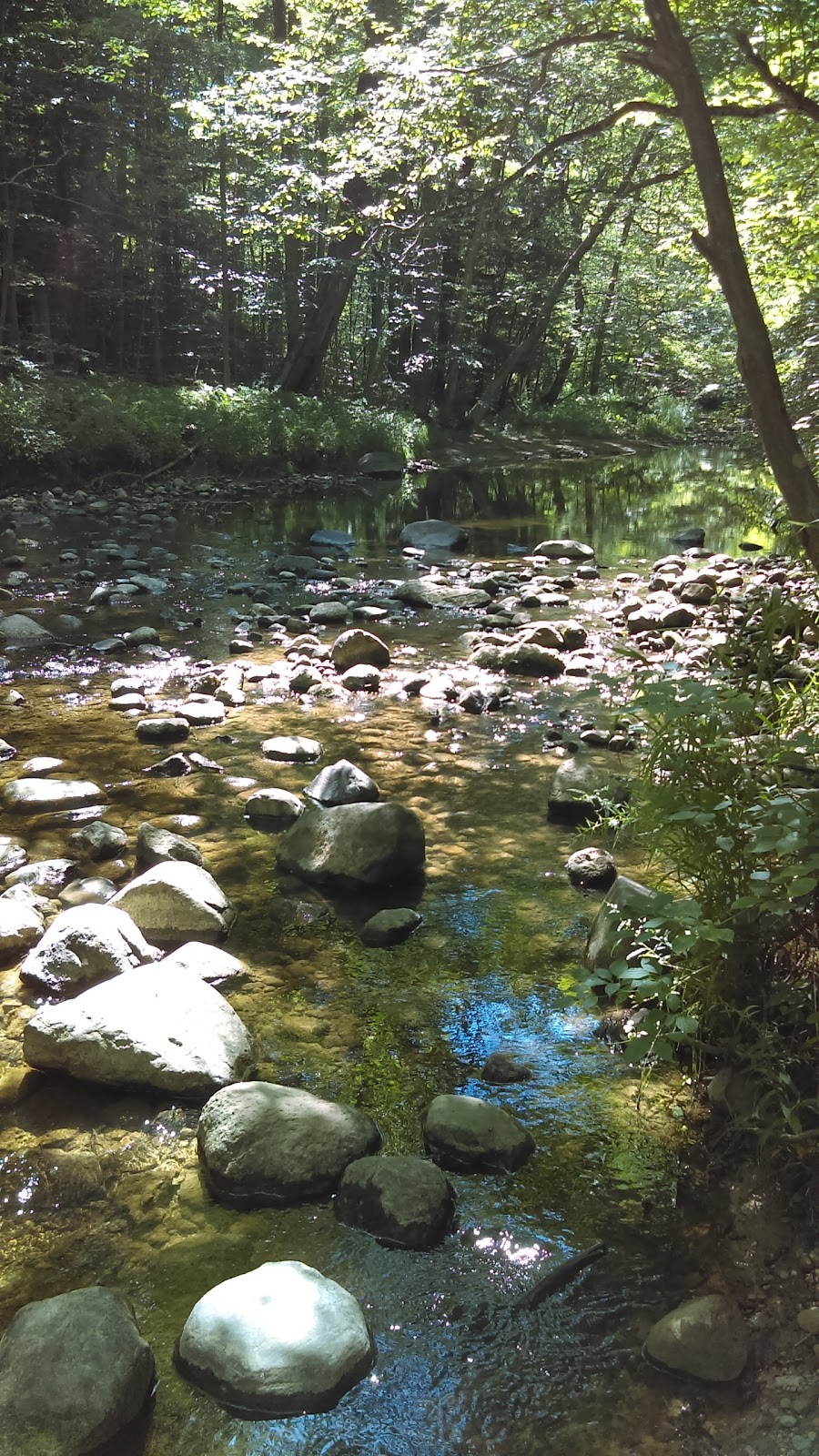 Pine River Nature Center | 2585 Castor Rd, Goodells, MI 48027, USA | Phone: (810) 364-5477