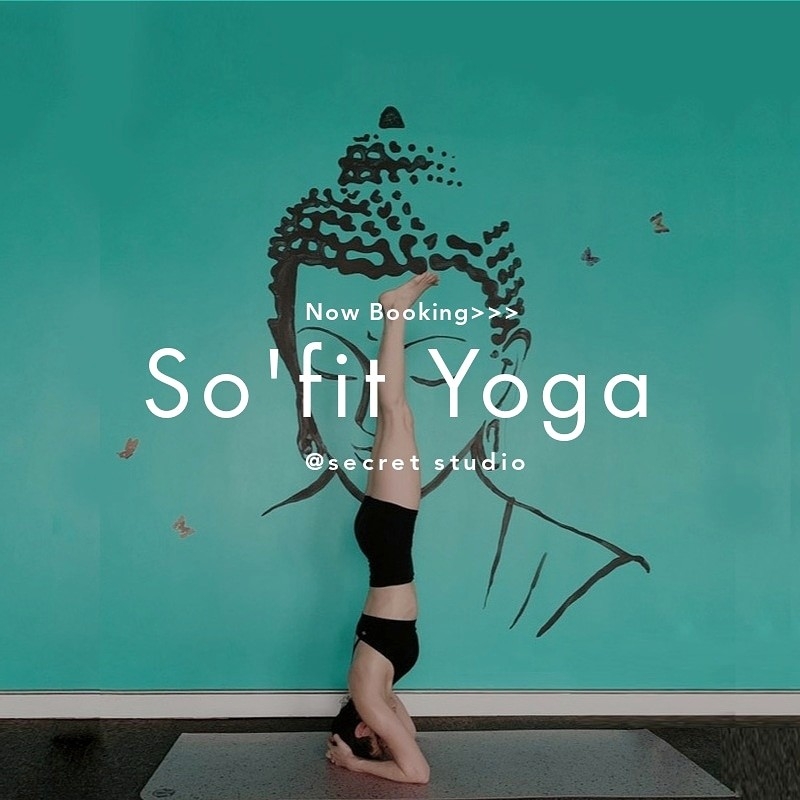 So Aerial Fit & Yoga | 8430 196 St, Langley City, BC V2Y 1Z4, Canada | Phone: (604) 440-5353