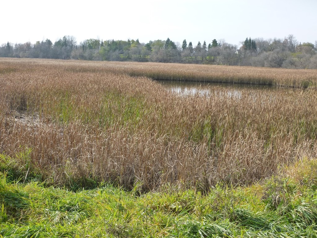River Road Provincial Park | Lockport, MB R1A 2T4, Canada
