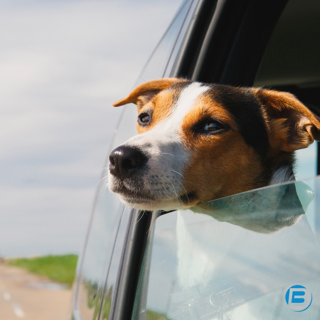 Baril Auto Crédit | 6875 Boulevard Laurier O, Saint-Hyacinthe, QC J2S 9A5, Canada | Phone: (877) 742-5135