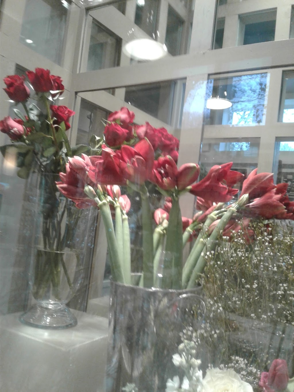 Flore | 4818 Rue Sherbrooke Ouest, Westmount, QC H3Z 1G8, Canada | Phone: (514) 488-3555