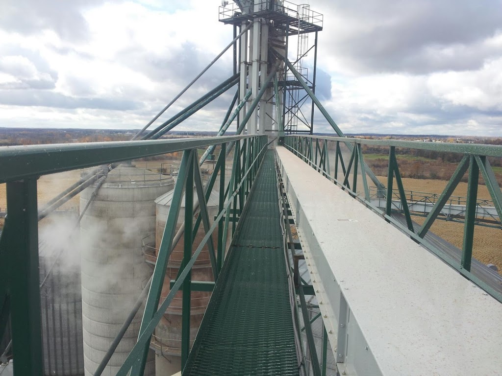 Graham Turf Seeds Ltd | 381 Taylors Rd, Oakwood, ON K0M 2M0, Canada | Phone: (705) 953-9538