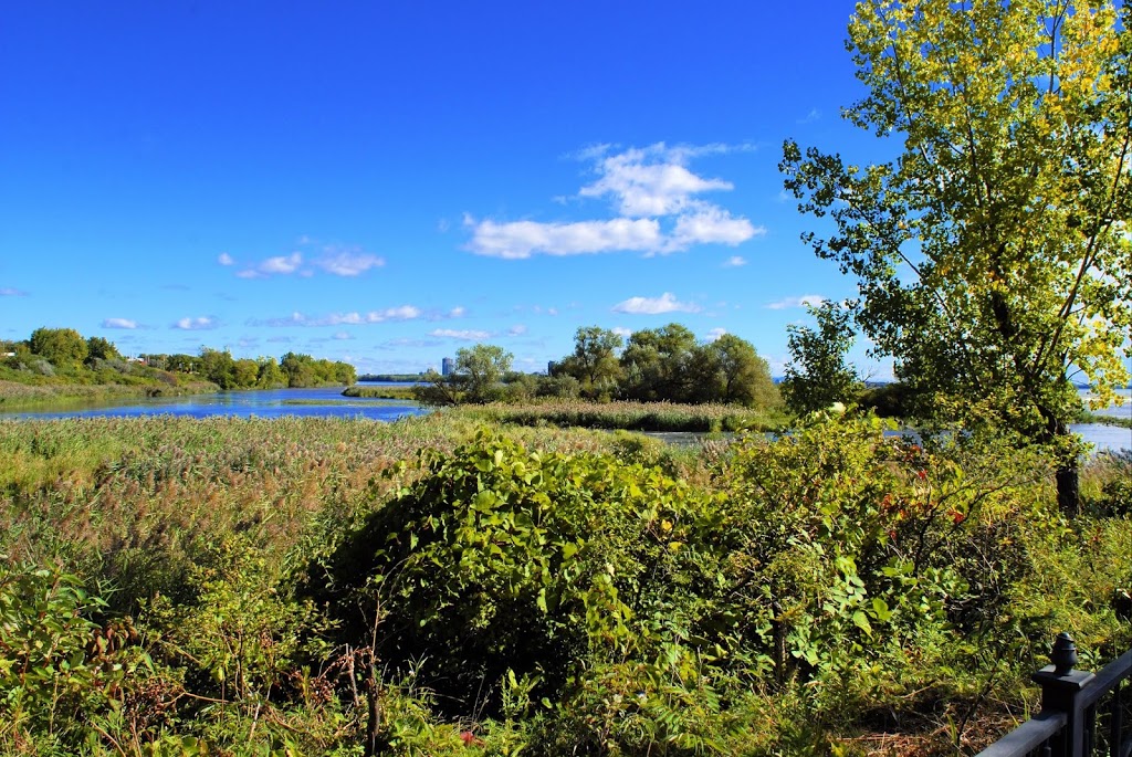 Rapids Park | Boulevard LaSalle, Montréal, QC H8P 1X6, Canada | Phone: (514) 367-1000
