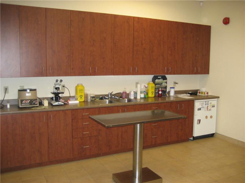 Chapel Hill Veterinary Clinic | 1615 Orléans Blvd, Orléans, ON K1C 7E2, Canada | Phone: (613) 834-5686