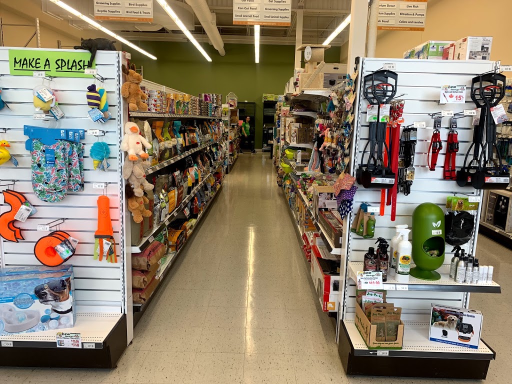 Ruffins Pet Centre (Fonthill) | 130 Hwy 20 E, Fonthill, ON L0S 1E0, Canada | Phone: (905) 892-3733