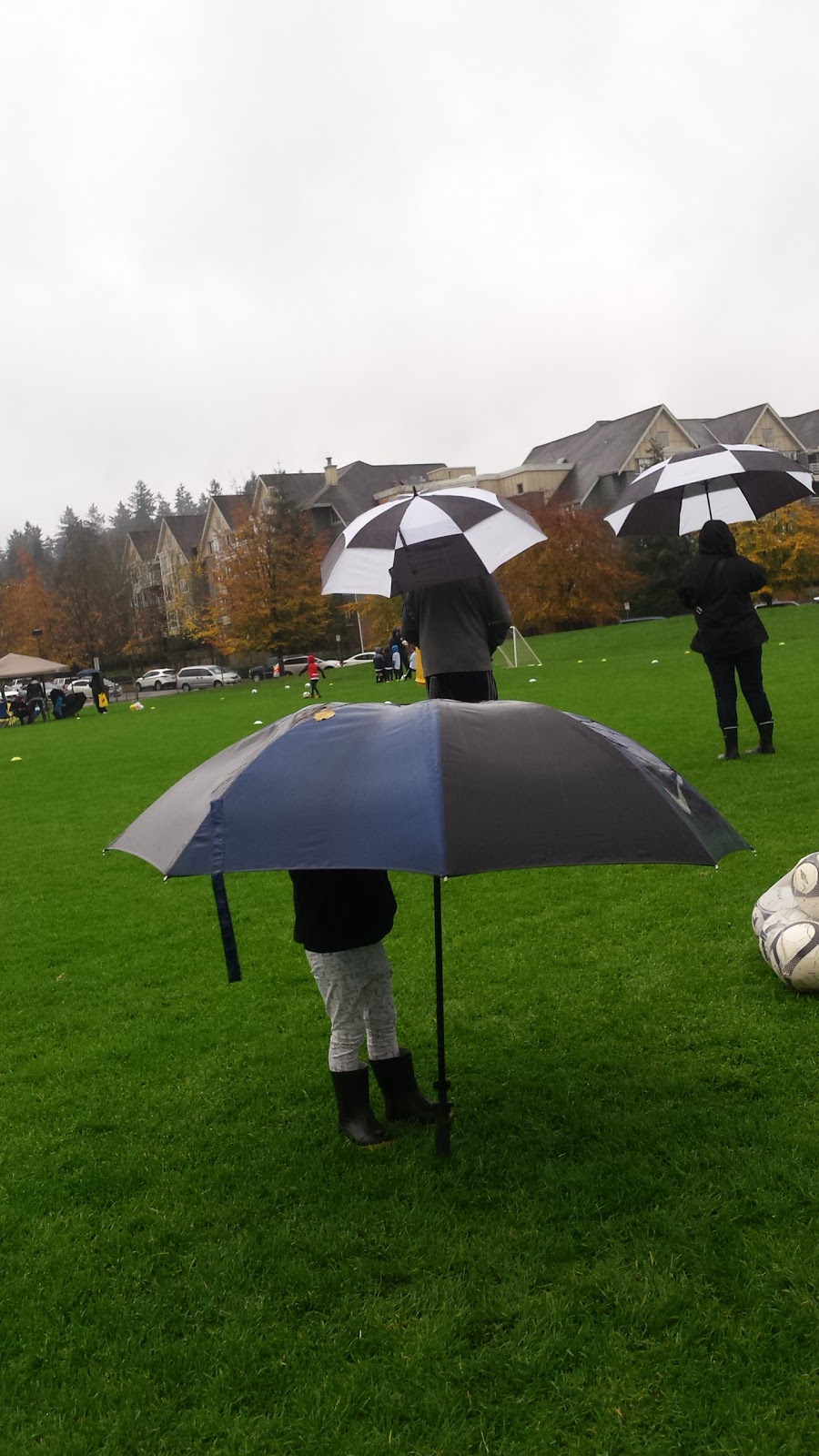 Terry Hughes Park | 8 8th Ave, New Westminster, BC V3L, Canada | Phone: (604) 521-3711
