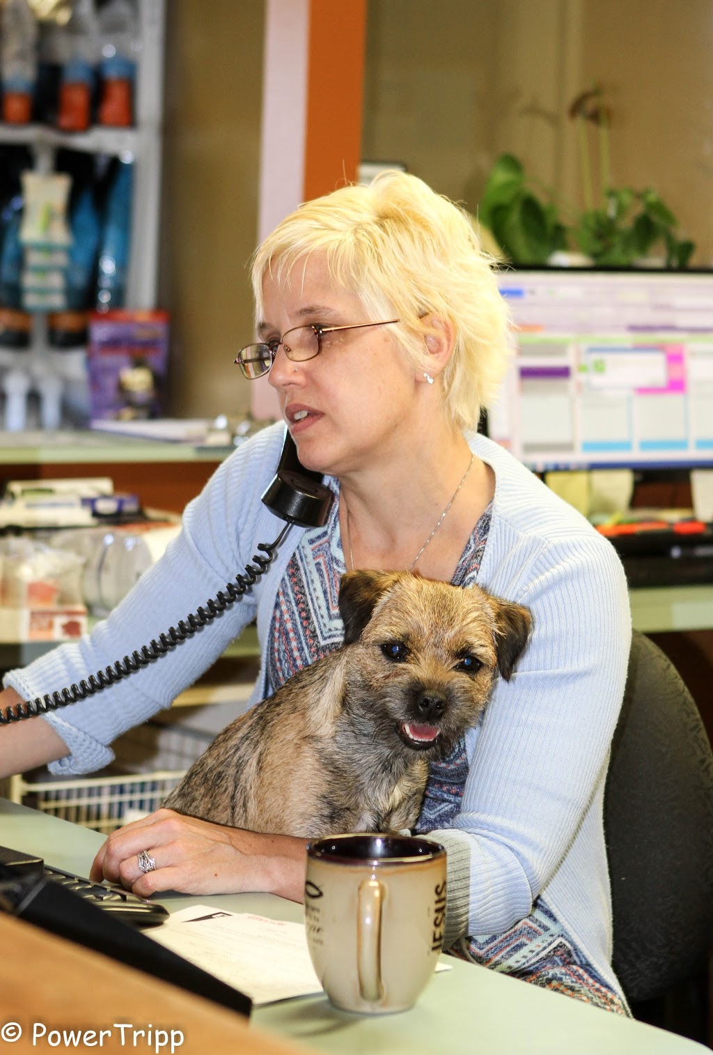 Alliance Animal Hospital | 5915 Broadway, Lancaster, NY 14086, USA | Phone: (716) 681-4440