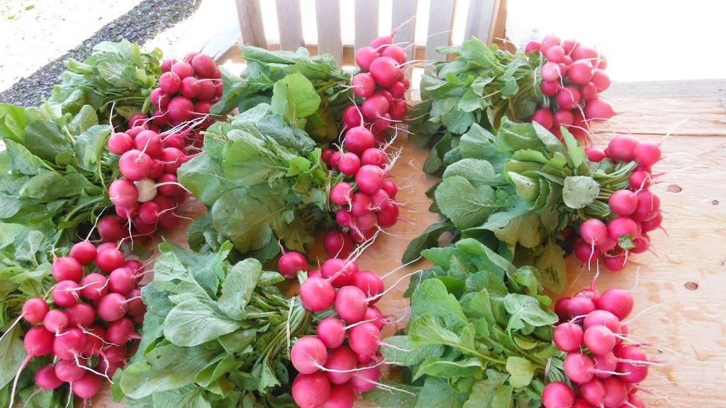 Farm Hill oak solidarity cooperative | 790 Chemin du Lac Gale, Bromont, QC J2L 2S6, Canada | Phone: (450) 578-2125