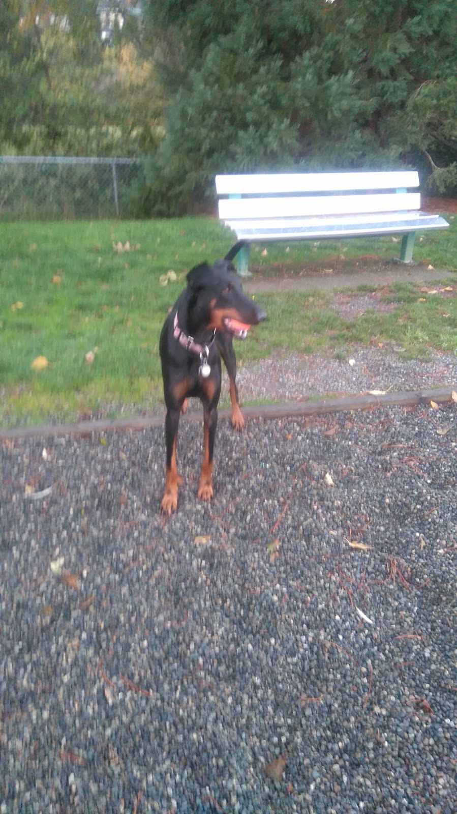 Colwood Creek Park | Brittany Dr, Colwood, BC V9B 5P8, Canada | Phone: (250) 478-5999